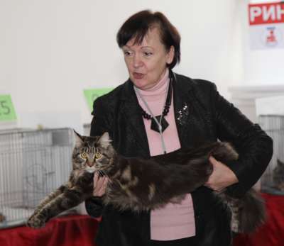 �������� ����� '������� ���-�����' 30 ������-1 ������� 2013., WCF-����� 2622